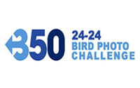 350-24-24 Bird Photo Challenge