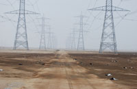 Dead White Storks near Al-Soaybah Desalination Plant, Saudi Arabia © Abdullah Alsuhaibany