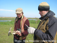 Ingar Øien (Birdlife Norway) and Petteri Tolvanen (WWF Finland) examine the remains of a goose at Evros Delta National Park / Photo: Nina Mikander (UNEP/AEWA)