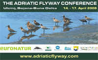 Poster of the 1st Adriatic Flyway Conference