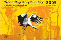 World Migratory Bird Day (WMBD) Poster 2009