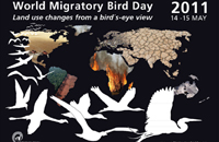 Poster of World Migratory Bird Day (WMBD) 2011