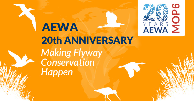 20th Anniversary of AEWA - Making Flyway Conservation Happen