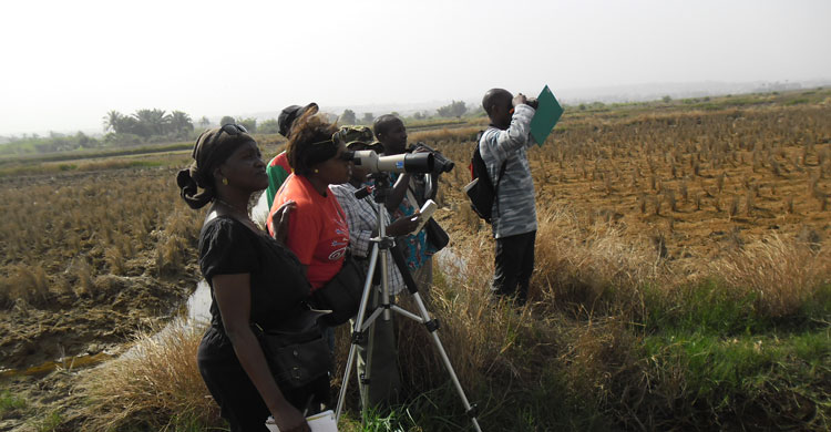 Workshop participants getting trained on the identification and monitoring of waterbirds 