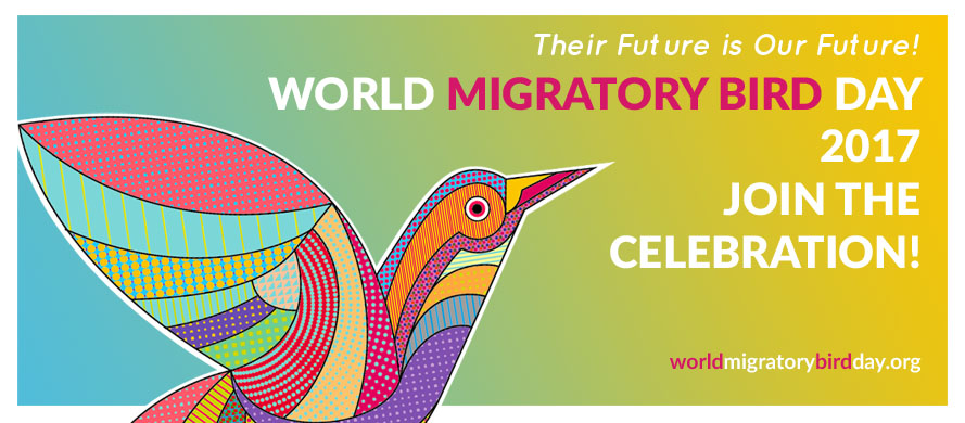 World Migratory Bird Day 2017 