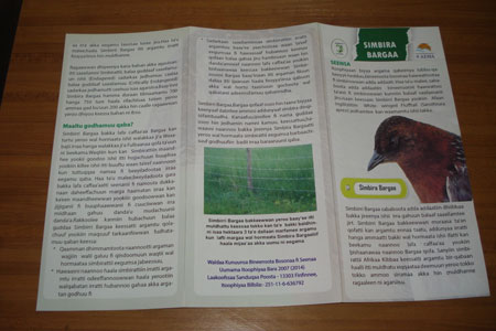 A brochure published in Amharic & Oromifa languages could help raise community awareness towards conservation of the White-winged Flufftail © EWNHS
