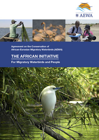 The African Initiative brochure