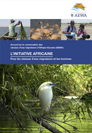 Brochure sur l’Initiative africaine