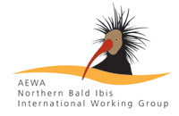 Northern Bald Ibis  IWG logo