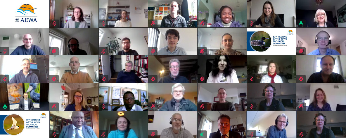 Virtual Group Photo of the 17th Meeting of the AEWA Technical Committee Meeting (8 February 2022)