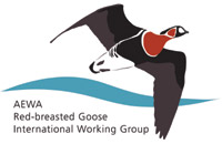 Red-breasted Goose  IWG logo