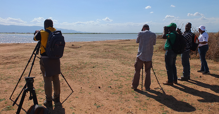 Capacity-Building of Trainers to Monitor Migratory Waterbirds in Africa