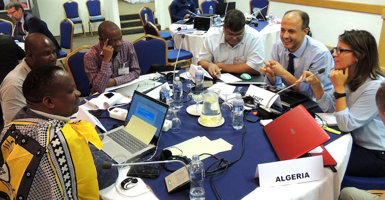 African Pre-MOP Sets Pace for AEWA Summit