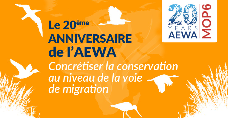 20th Anniversary of AEWA - Making Flyway Conservation Happen
