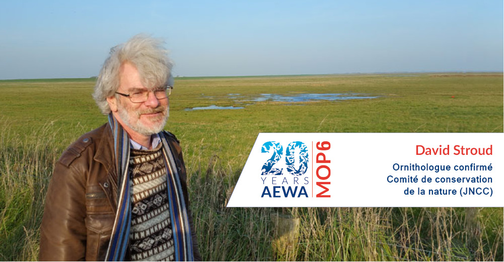 David Stroud, Chair of the AEWA Technical Committee © Sergey Dereliev