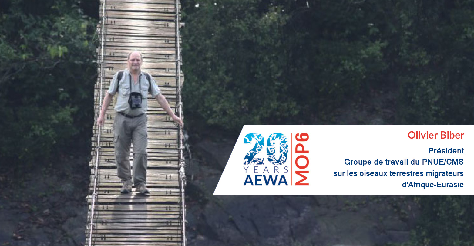 Olivier Biber, Chair, UNEP/CMS African-Eurasian Migratory Landbirds Working Group