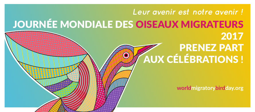 World Migratory Bird Day 2017 