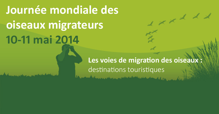 World Migratory Bird Day Poster 2014