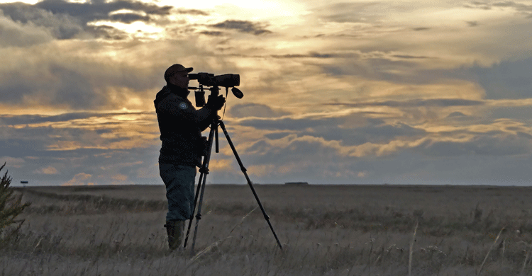 “Expedition member Jànos Tar from the Hortobágy National Park Directorate in Hungary carrying out a morning count. © Attila Szilágyi, Hortobágy National Park Directorate