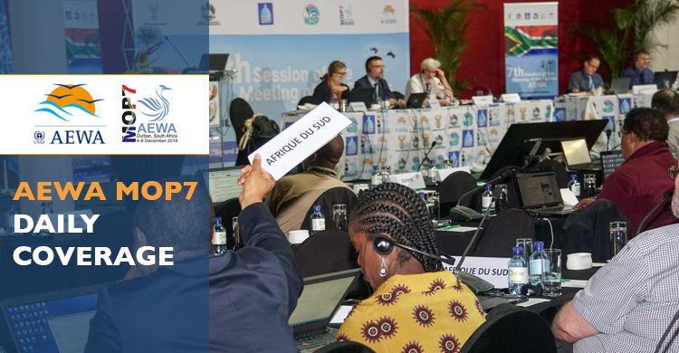 Delegates in the plenary during the third day of MOP7 in Durban, South Africa - © Aydin Bahramlouian