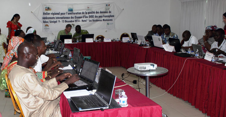 Participants in the meeting room (© Rivo Rabarisoa)
