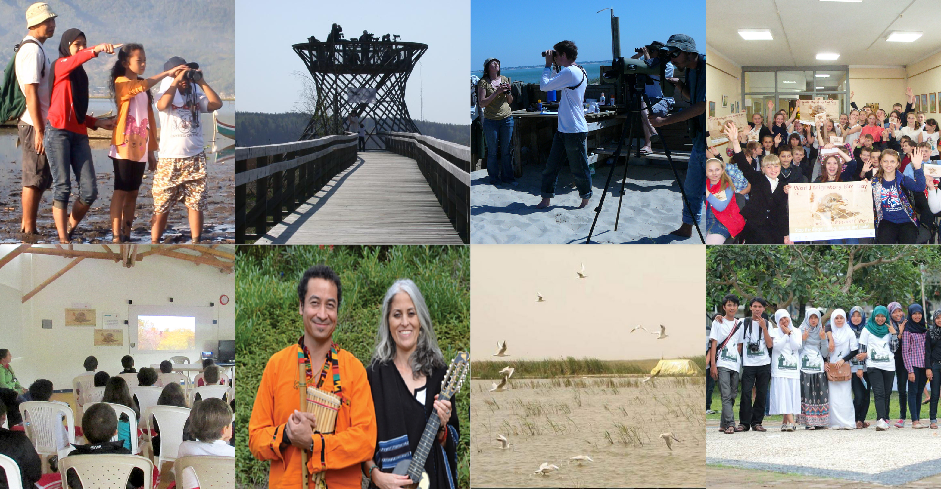 Impressions of World Migratory Bird Day 2016