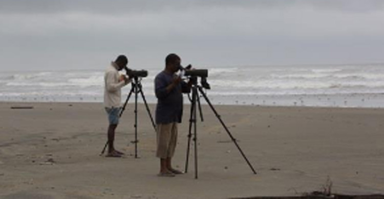 © Center for African Wetlands