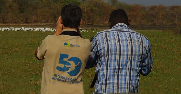 Bird watchers during the International Waterbird Census © ONCFS 2017