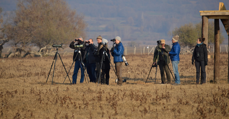 Excursion to Lake Kerkini © Alexandra Demertzi/HOS