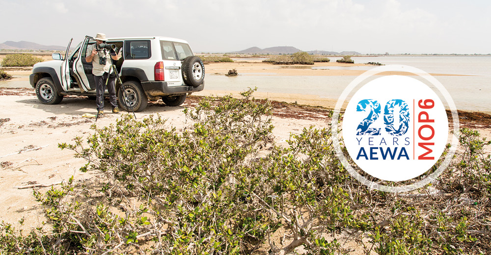Waterbird monitoring © Szabolcs Nagy