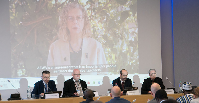 Opening ceremony of AEWA MOP9 in Bonn, Germany Photo by Aydin Bahramlouian (CC BY-NC 4.0)