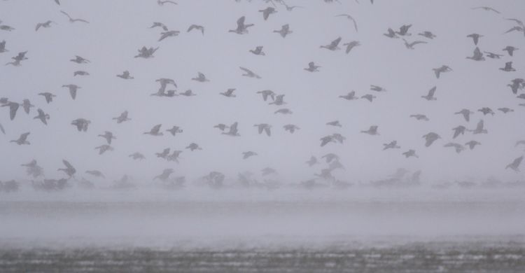 Winter conditions in Bulgaria © N . Petkov