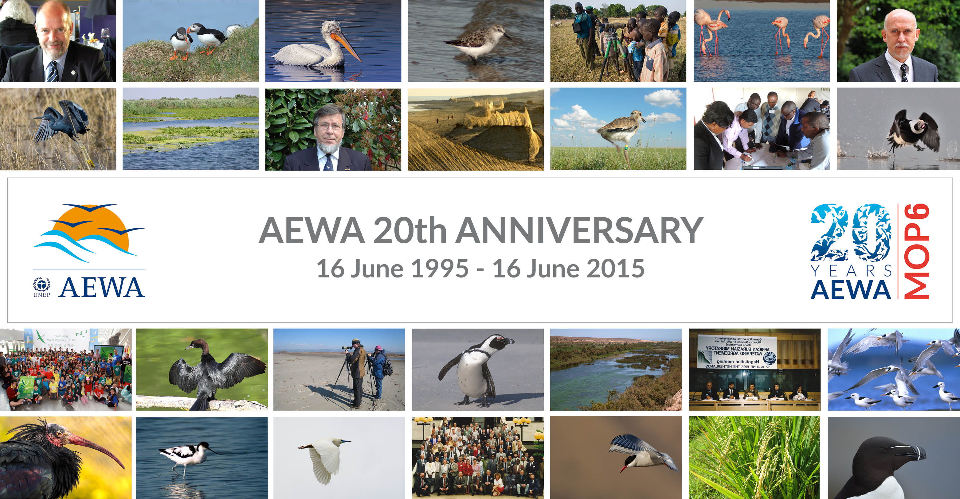 Bonn, 16 June 2015 –Today marks the 20th anniversary of theAgreement on the Conservation of African-Eurasian Migratory Waterbirds (AEWA). The treaty, which is based in Bonn, Germany, was signed 16 June 1995 in The Hague, the Netherlands.