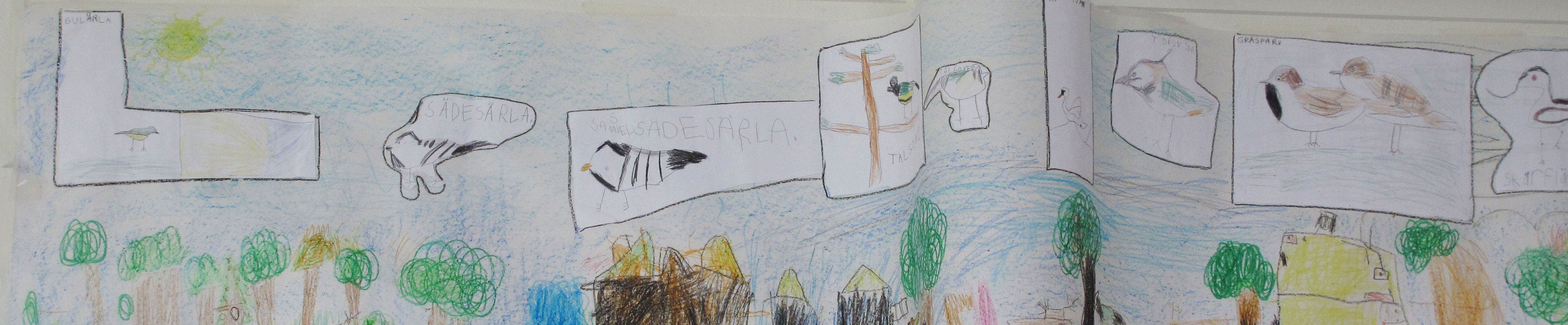Drawings from children attending the WMBD event at the nature centre Naturum Getterön © Katja Fedrowitz