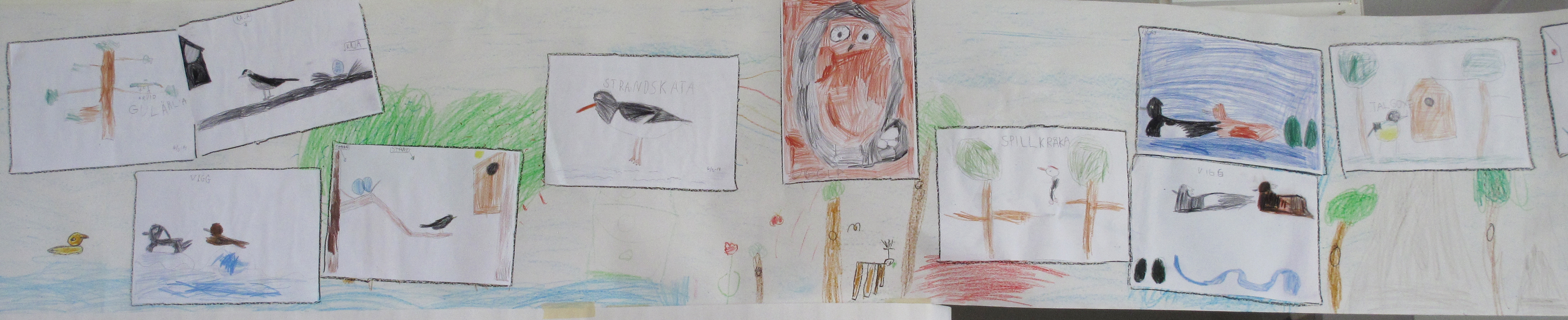 Drawings from children attending the WMBD event at the nature centre Naturum Getterön © Katja Fedrowitz