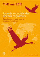 L'affiche Journée mondiale des oiseaux migrateurs 2013