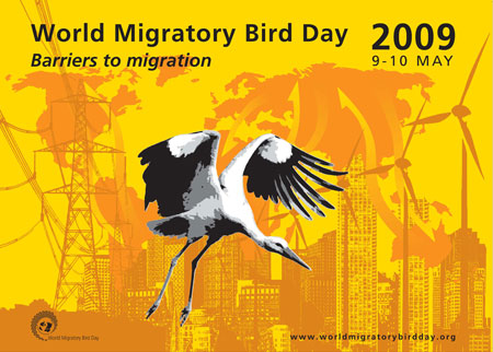 WMBD Poster 2009