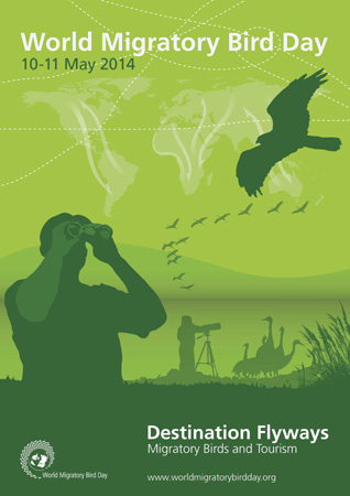 World Migratory Bird Day Poster 2014