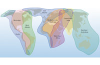 Major flyways of Arctic birds. Bird migration links Arctic breeding areas to all other parts of the globe (adapted from ACIA 2005).