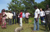 Workshop participants being informed about the history of the sacred crocodiles