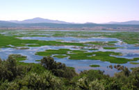 Lac Tonga – El Kala © Direction Générale des Forêts