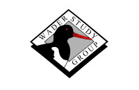 International Wader Study Group (IWSG), winner of the AEWA Conservation Award in the institutional category.