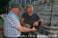 : Ibis experts Taner Hatipoglu and Lubomir Peske preparing a tagged ibis for release, Photo: Chris Bowden/RSPB