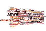 Wordcloud for "Irrespective of the current TC workplan, what are the key issues that the TC should be addressing?" 