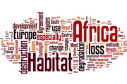 Wordcloud for "In your experience what are the top two threats negativeley influencing migratory waterbirds?"