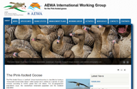 AEWA International Species Working Group website for the Svalbard Pink-footed Goose (Anser brachyrhynchus).