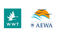 WWT and UNEP/AEWA Secretariat sign two Memoranda of Cooperation for the White-headed Duck and the Red-breasted Goose.