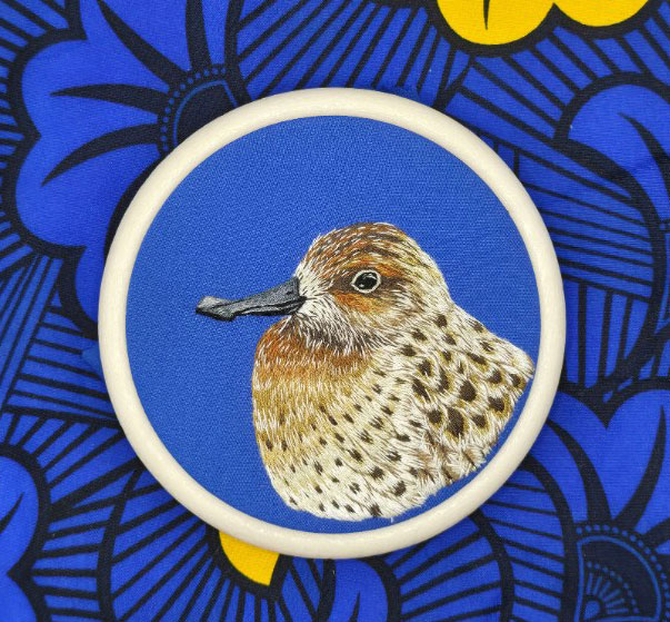 Spoon-billed Sandpiper – one of the flagship species of this year's campaign (also depicted on the global World Migratory Bird Day 2026 Poster)