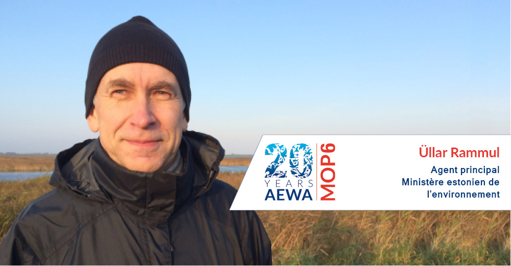 Üllar Rammul, Agent principal, Ministère estonien de l’environnement