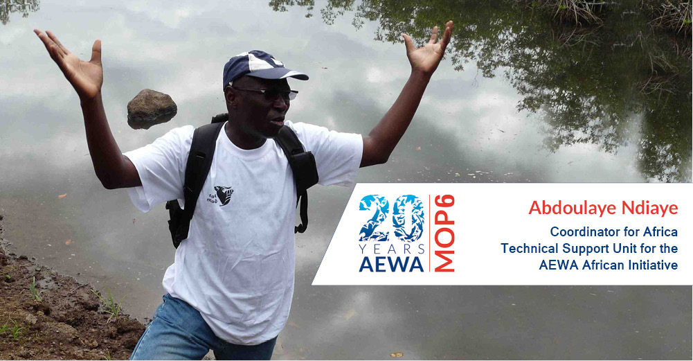 Abdoulaye Ndiaye, Coordinator for Africa, Technical Support Unit for the AEWA African Initiative